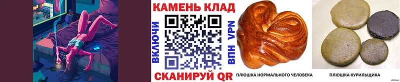 ГАШИШ VHQ  сколько стоит  Устюжна 