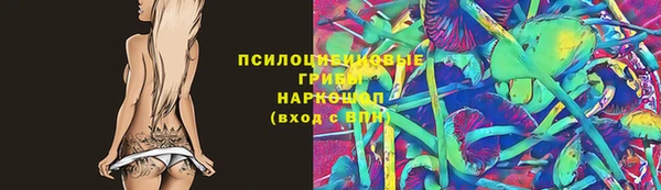 амф Алексин