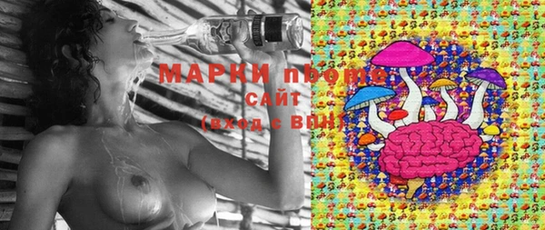ПСИЛОЦИБИНОВЫЕ ГРИБЫ Алексеевка
