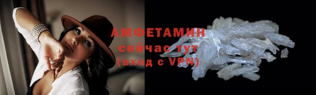 амф Алексин