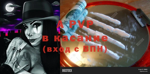 ПСИЛОЦИБИНОВЫЕ ГРИБЫ Алексеевка